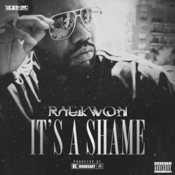 Instrumental: Raekwon - It’s a Shame
